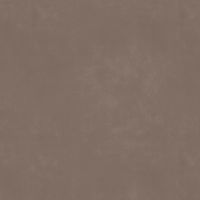 Prime 60x60 hellbraun matt            1. Fstzg.rekt. R10 - Stärke 8mm