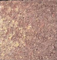 Rechteckpflaster 20/10/6cm weinlaub Art of Life Gartenserie